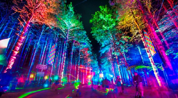 electric forest