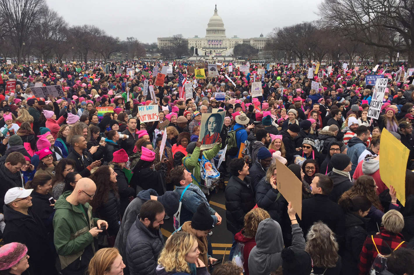 Women's March White House Lawn