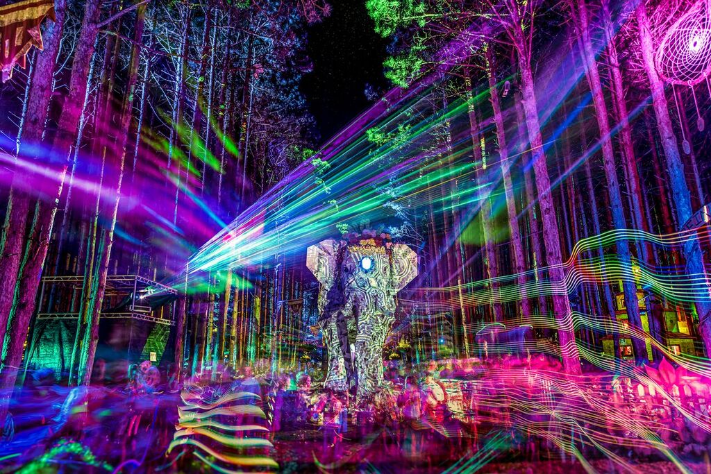 Electric Forest Weekend 1 Review