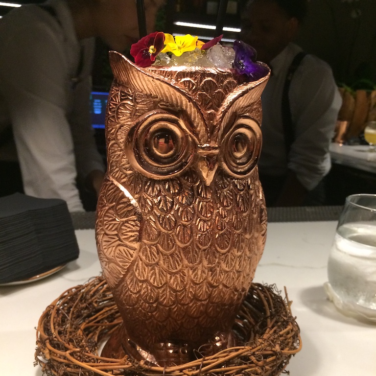 Zucca Owl Cup